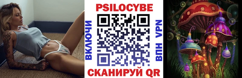 как найти закладки  Белореченск  Псилоцибиновые грибы Magic Shrooms 